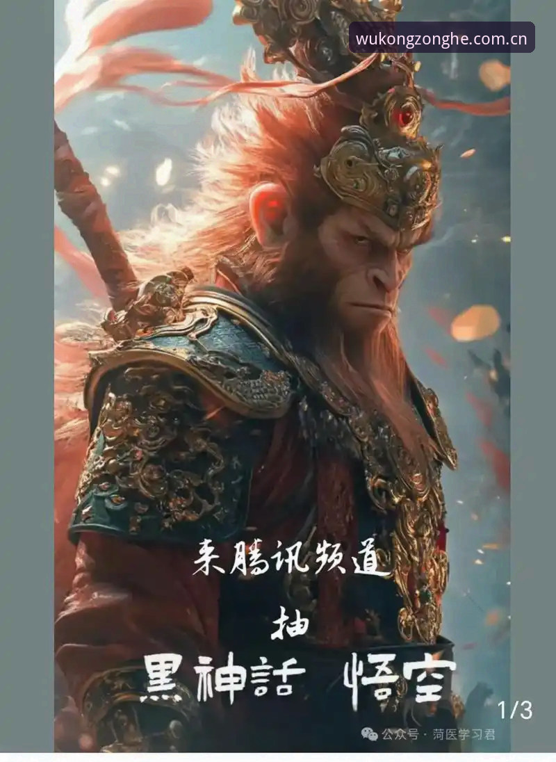 悟空体育综合平台 悟空体育综合平台深度评测:从安装到实战,一个老用户的全流程体验