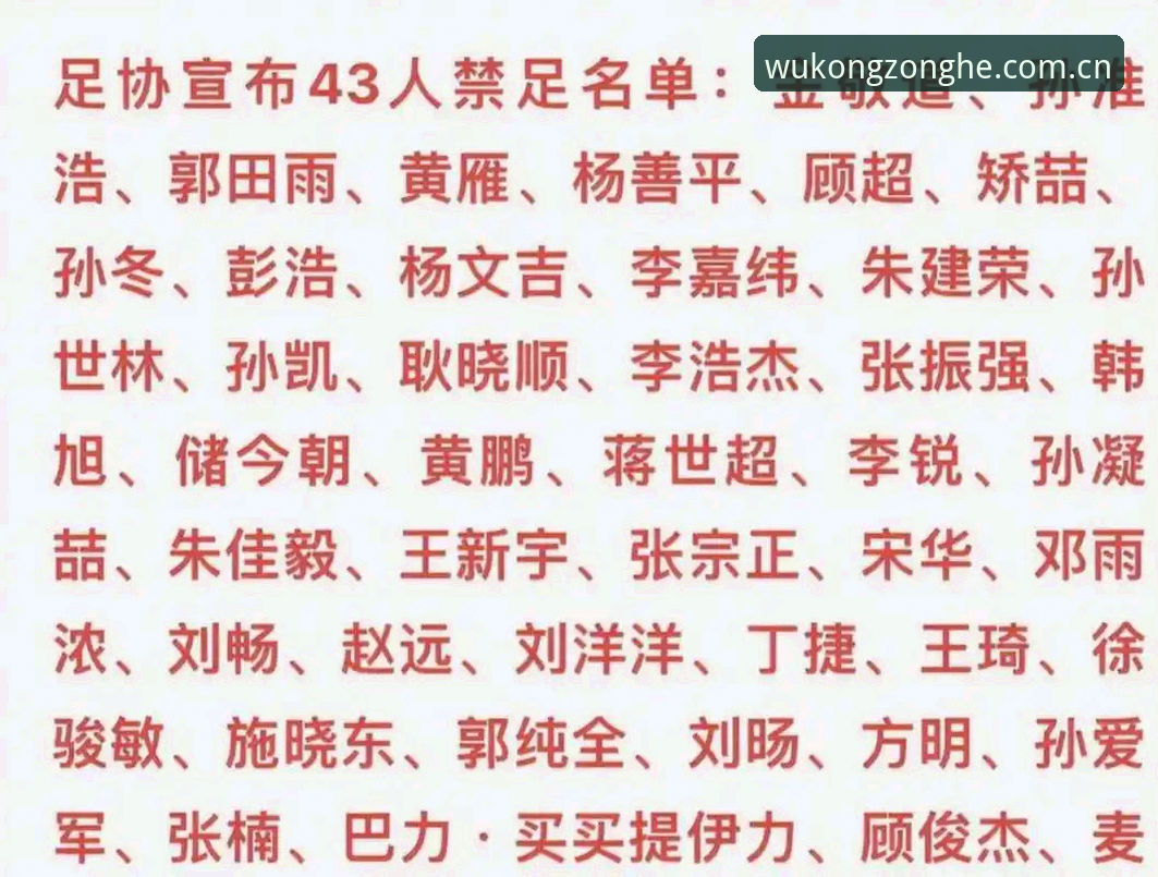 悟空体育互动空间 看懂足协第三批禁足名单:球迷必知的足球生态净化实用指南